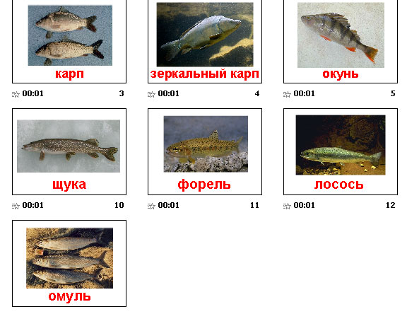 морские рыбы картинки