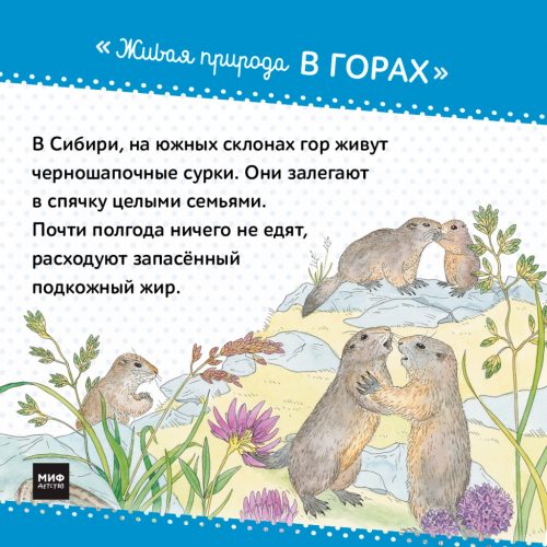 живая природа в горах книга миф